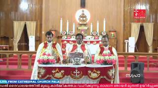 LIVE - വിശുദ്ധ കുർബാന നൊവേന  - 04-04-2020 | 06:45 AM | St. Thomas Cathedral  | Pala | Trias Media