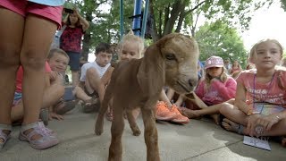 Goat Yoga with Kids