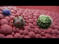 real corona story antibodies