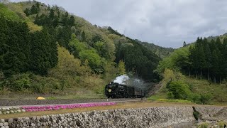 SLやまぐち号　白井の里防災公園　2022.04.24