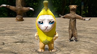 My Sadly Song | featuring Banana Cat \u0026 Rare Cat