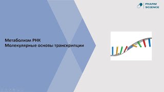 Молекулярные основы транскрипции (транскриптомики) | лекция 6 | Pharm Science