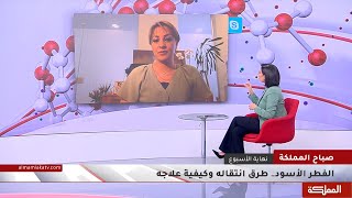 مرض الفطر الأسود.. طرق انتقاله وكيفية علاجه