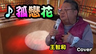 🔮王智和 翻唱: 孤戀花 (余天) 義之勇家族