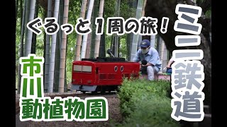 市川動植物園 ミニ鉄道ノーカット版