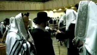 Ari Noe - Zyshe Bar Mitzvah - BOBOV