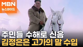 北 주민들, 장갑도 없이 맨손 수해 복구…와중에 김정은은 '말 쇼핑' [뉴스와이드]