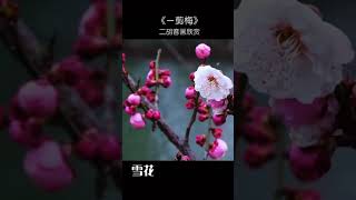 一剪梅 二胡音画 欣赏 #二胡音乐