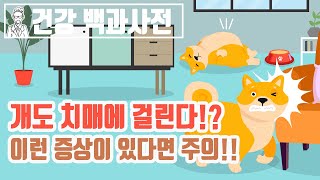 개도 치매에 걸린다고!? 당신의 반려견이 이런 증상을 보인다면 주의! @세모지