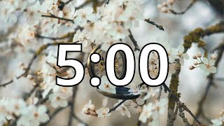 5 Minutes Timer with Music | Cherry Blossom Timer