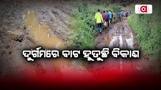 ଦୁର୍ଗମରେ ବାଟ ହୁଡୁଛି ବିକାଶ || Road Problem In Pottangi Block || Koraput