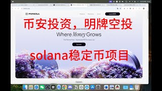 「百万级空投机会？」手把手带你玩转Solana新项目币安投资的Perena | 超详细空投攻略！🎉🚀