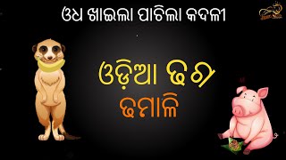 odia dhaga dhamali part 1 | ଓଧ ଖାଇଲା ପାଚିଲା କଦଳୀ | #DreamMoonCreations