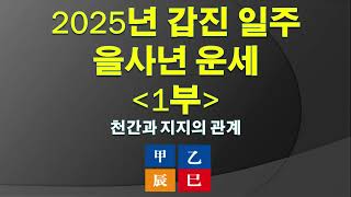 2025년 갑진 일주 을사년 운세 1부