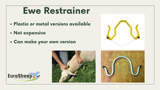 Irish Tips \u0026 Tricks - Sheep restrainer