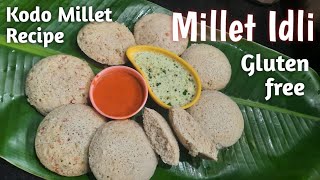 Millet Idli/Kodo Millet recipes/Millet recipes/#rasoishow/Millet Idli dosa batter/Millet Year 2023