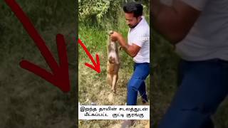 குட்டி குரங்கை காப்பாற்றிய மனிதர் 🐵❤️🙏 #shorts #trending #viral