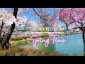 [4K] Seoul Cherry Blossom 2022| Seokchon Lake Park Festival |Spring Time| 서울 벚꽃 2022| 석촌 호수축제| 봄철