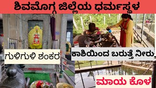 ಗುಳಿ ಗುಳಿ ಶಂಕರ ದೇವಸ್ಥಾನ|ಶಿವಮೊಗ್ಗ ಜಿಲ್ಲೆಯ ಧರ್ಮಸ್ಥಳ|ಮಾಯಾ ಕೊಳ|ಈ ಕೊಳದಲ್ಲಿ ಬಿಲ್ವಪತ್ರೆ ಮುಳುಗುತ್ತೆ