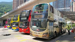 Hong Kong Bus KMB V6X103 @ 102 九龍巴士 Volvo B8L 筲箕灣 - 美孚