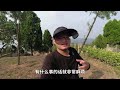 山西大山发现300年清代大财主墓，地宫内用金粉铺墙，看完让人大开眼界