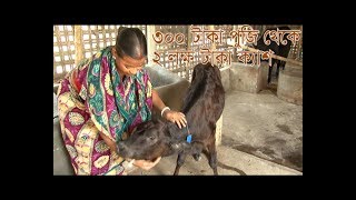 Farzana is a rural women।ফারজানা একজন গ্রাম্য নারী