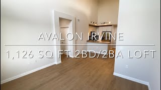 Avalon Irvine - Phase I 1,126 Sq Ft Two Bedroom - Two Bath Loft (B1L) Renovated