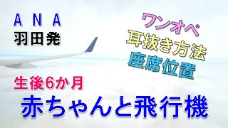 【赤ちゃんと飛行機！】生後6か月の娘とワンオペ飛行機移動。耳抜き方法は？座席おススメは？羽田発国内線