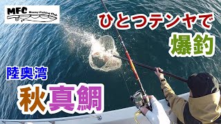 「陸奥湾真鯛」秋の醍醐味。ひとつテンヤで秋真鯛爆釣