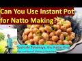 Your Natto Questions Answered