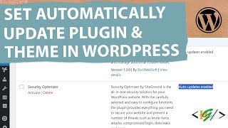 How to Enable Automatically Updates for Plugins and Theme using Custom Code in WordPress | Update