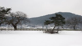 첫눈 내린 거리 주현미 mp4