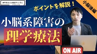 小脳について学習する 〈後編〉『小脳系障害の理学療法〜評価と運動療法〜』