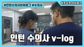 인턴수의사 브이로그 (feat. 대표 원장님)