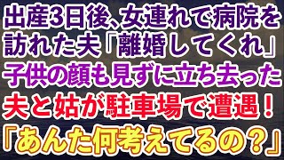 【スカッとする話】出産して3日後に女連れで病院を訪れた夫「離婚してくれ」子供の顔すら見ずに立ち去った夫と義母が駐車場で遭遇「あんた何考えてるの？」結果