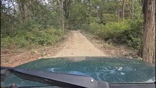 Jim Corbett National Park Jungle Safari