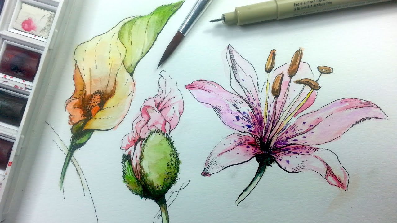 Draw Watercolor Flowers Best Flower Site