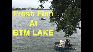 Fresh Fish | BTM LAKE | BANGALORE LAKE | LAKE