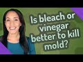 Is bleach or vinegar better to kill mold?