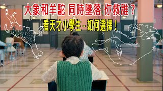 大象和羊駝同時墜落，你救誰？看智商180小學生如何選擇！