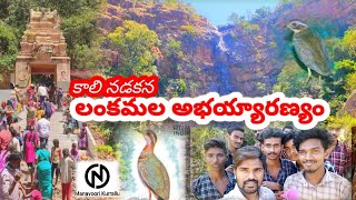 #Lanka malleswara abhayaranyam | Lankamala | Lankamala Forest | Manavoori Kurrallu | #jjj