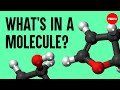 The science of macaroni salad: What's in a molecule? - Josh Kurz