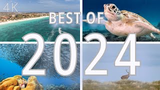 Best of 2024 | a 3-hour time-lapse, slow motion + real time film in 4K, captured + filmed in 8K + 4K