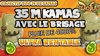 ON PASSE LA BARRE DES 30 M DE KAMAS GRACE AU BRISAGE SUR DOFUS 3 obj 500M (6)