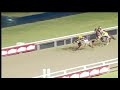 20190405 greyville express clip race 2 won by duc d orange