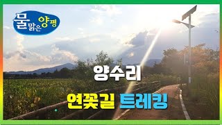 양수리 산책 | 연꽃길 트레킹 | 가을 양평 여행