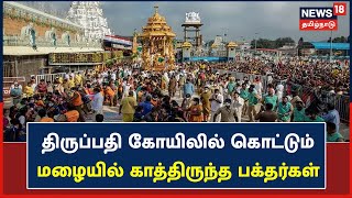 Tirupati-யில் ஏழுமலையான் தரிசனம் காண, கொட்டும் மழையில் காத்திருந்த பக்தர்கள் | Tirumala Tirupati