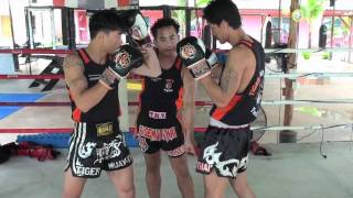 Tiger Muay Thai Techniques: Jab followed by upwards elbow and leg kick