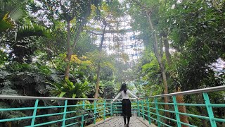 #台中科博館植物園熱帶雨林溫室 繁忙都市中的寧靜綠洲 放慢腳步享受自然