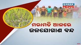 Drought Threat | Water Supply Cut, Farmers In Crisis In Puri